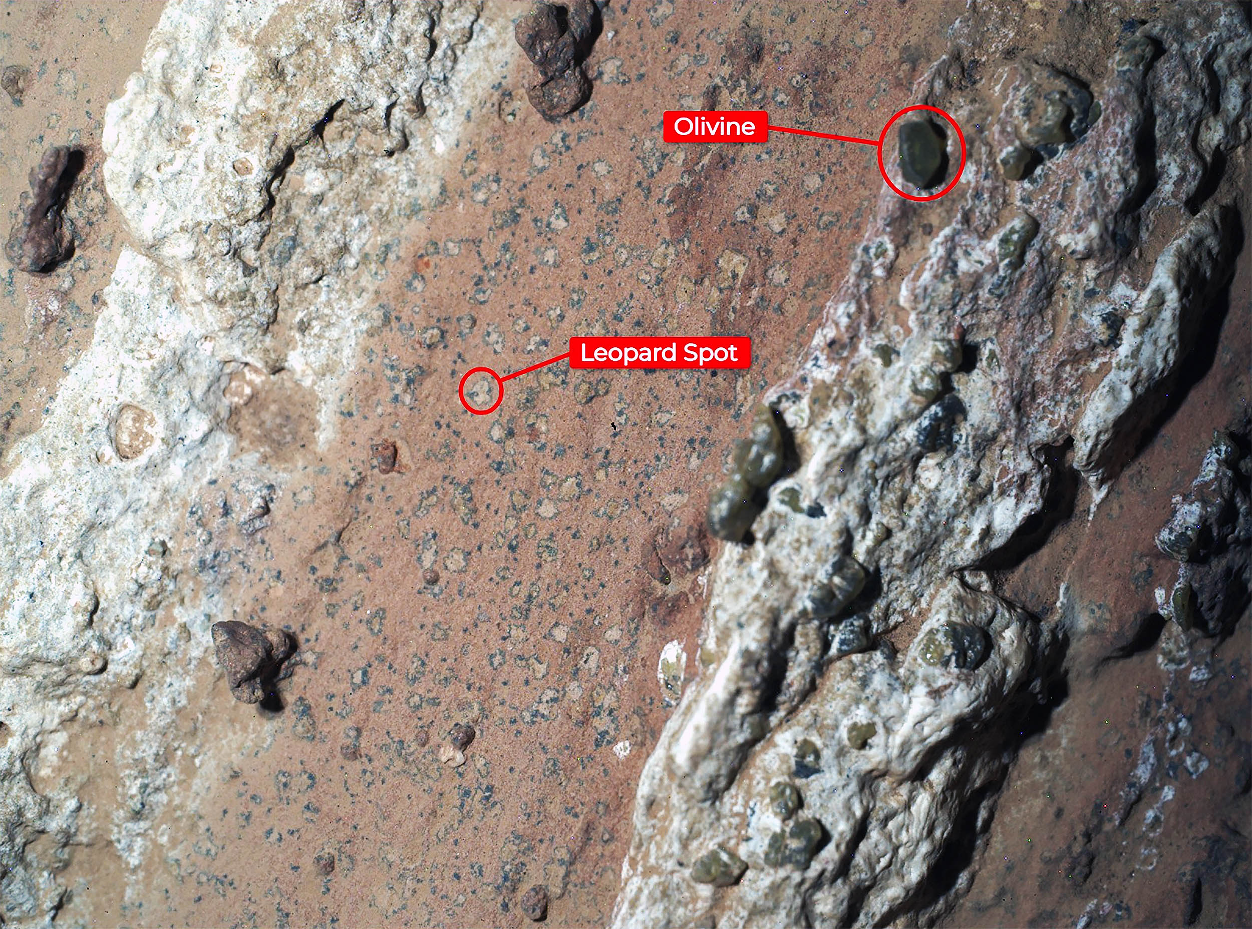 NASA aptiko galimas gyvybės žymes Marse