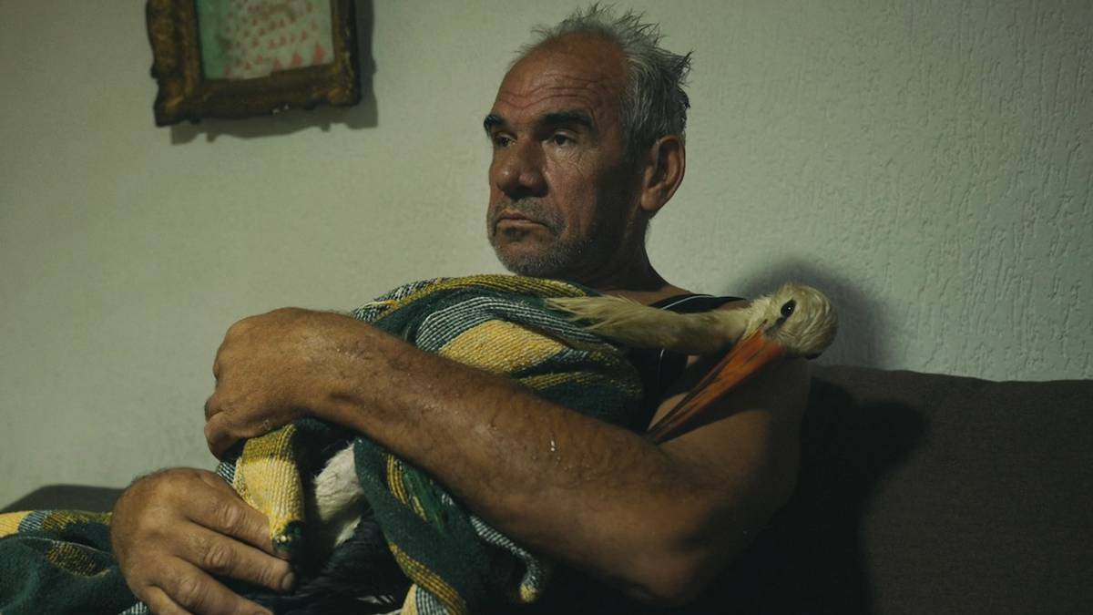 „Honeyland“ režisierė sugrįžta su jautria juosta apie nykstantį kaimą ir gandrus