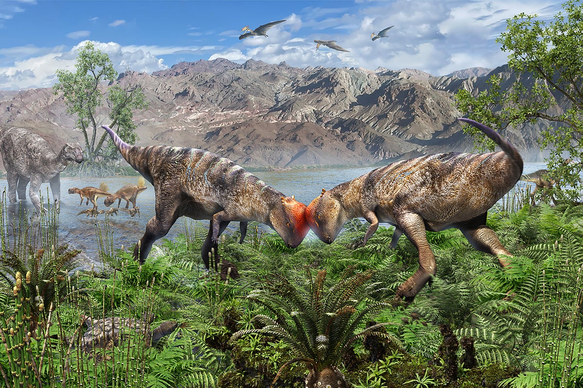 Mongolijoje rasta seniausio kupolinio dinozauro fosilija