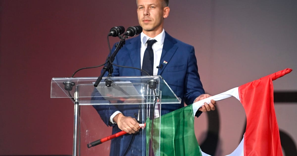 Vengrijos opozicijos lyderis kaltina Rusiją kišimusi į rinkimus