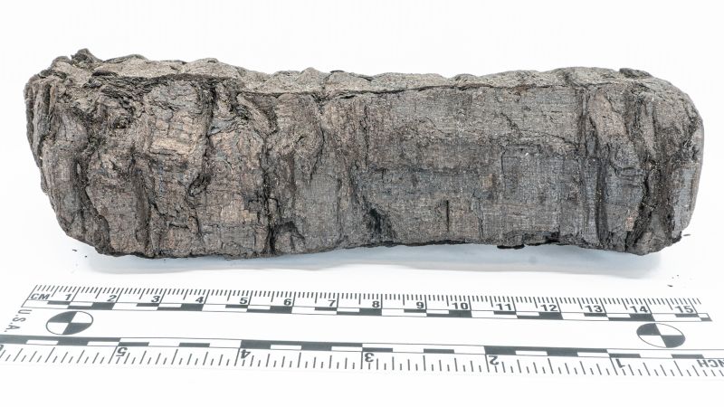 AI Deciphers Ancient Scrolls and Chats with Sperm Whales in 2024