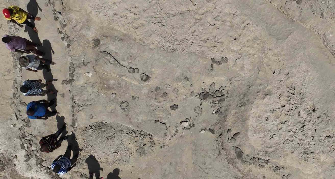 Ancient Footprints Reveal Hominin Handshake 1.5M Years Ago