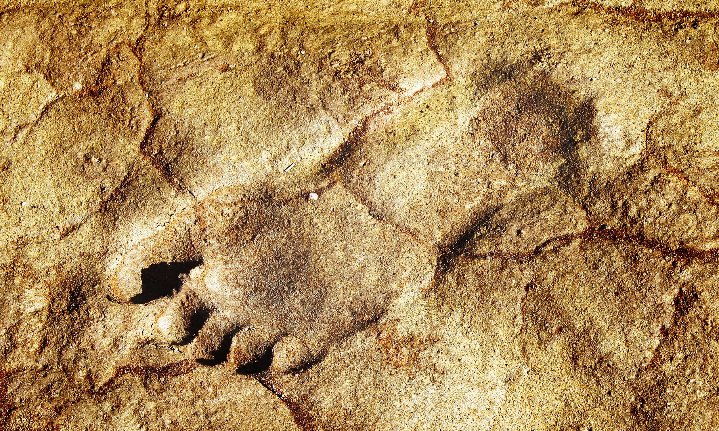 Ancient Steps in the Desert