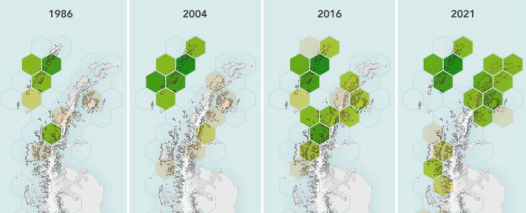 Antarctica Goes Green: A Dramatic Shift Uncovered