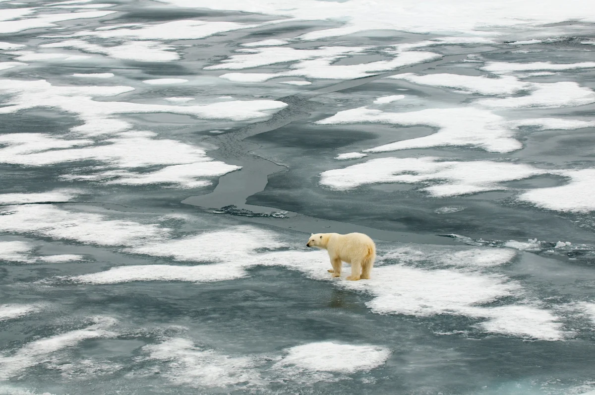 Arctic's Ice-Free Day Could Hit by 2027