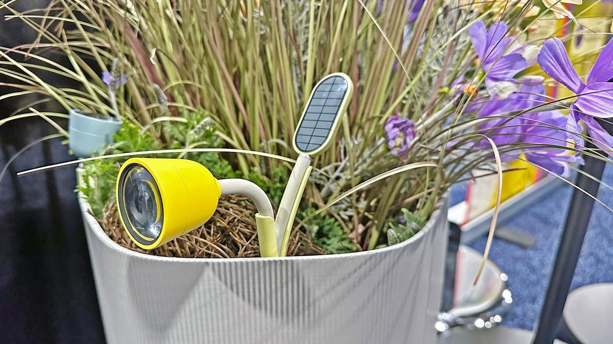 Bird Buddy's Petal: AI Takes Over Your Garden