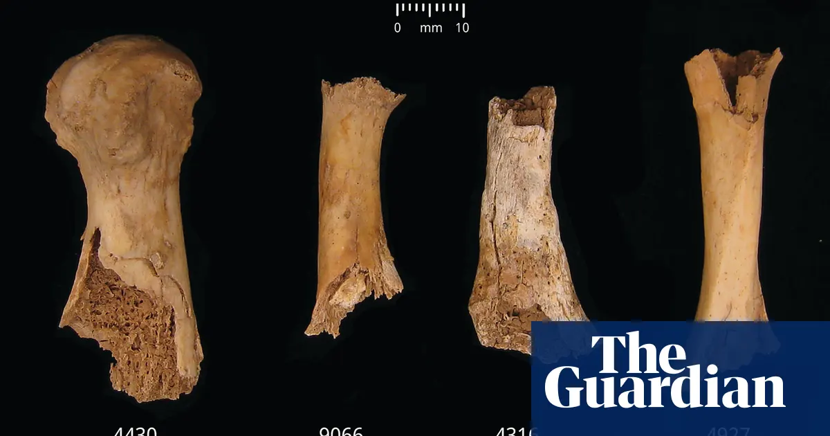 Bronze Age’s Darkest Chapter Unearthed in Somerset