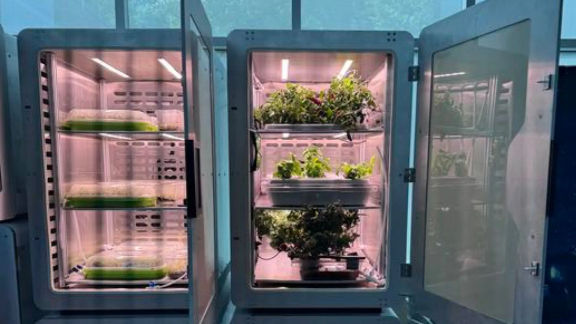 Electro-Agriculture: Harnessing Electricity to Feed the Future