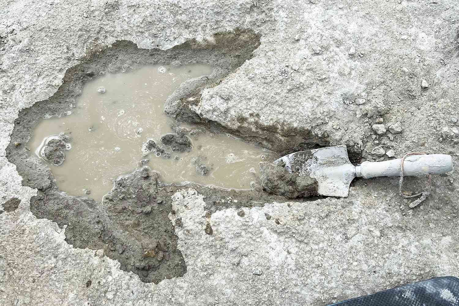 Jurassic Jurassic: UK's Largest Dinosaur Footprint Site Unearthed