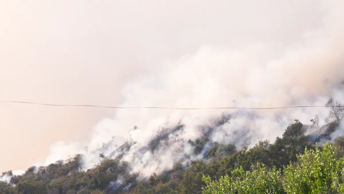 LA's Fiery January: Wildfires Ravage City with Record Losses