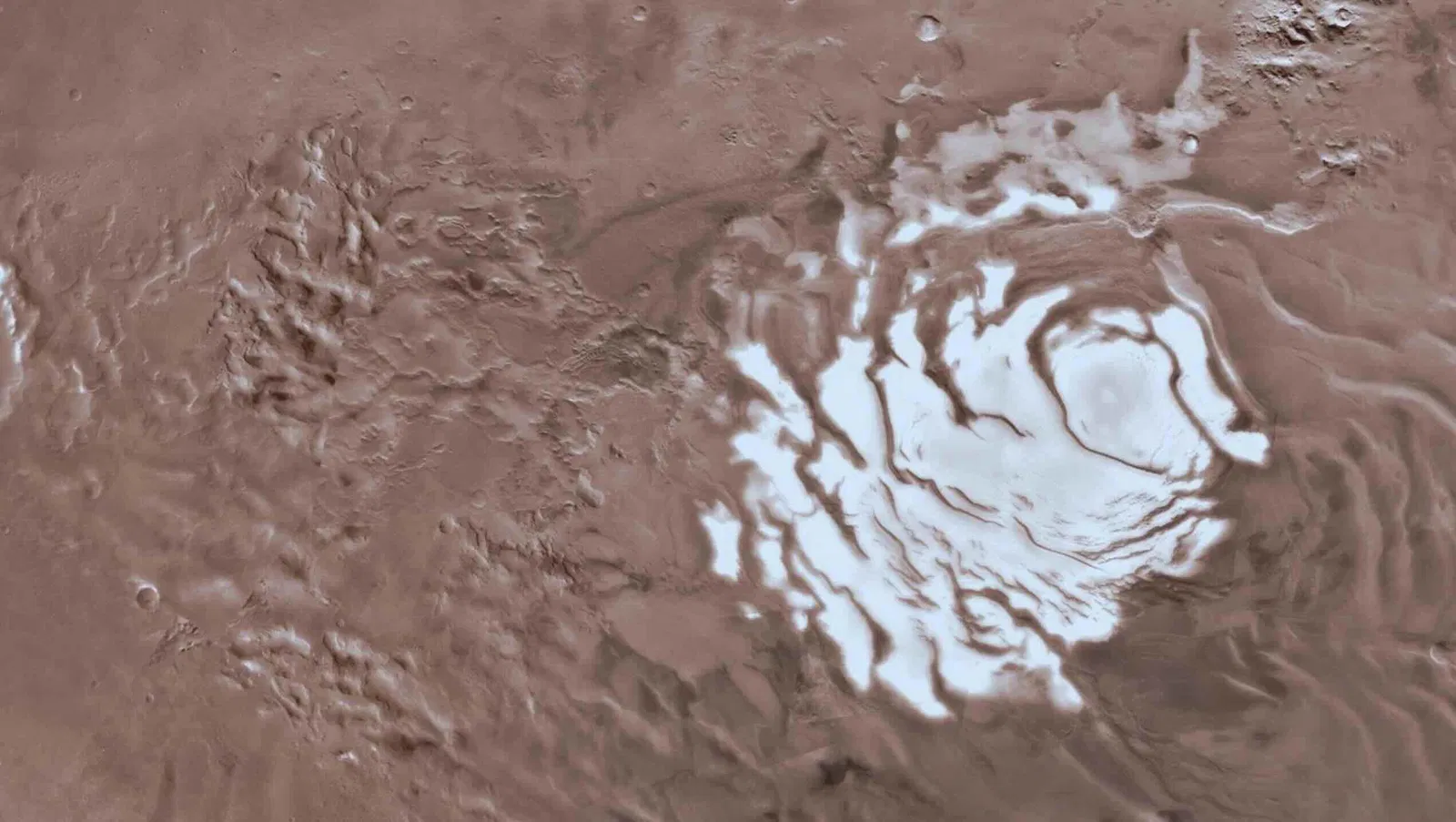 Mars’s Icy Hideouts: Microbial Life on the Horizon?