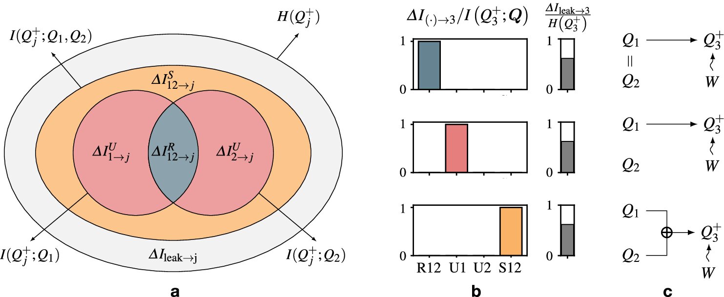 MIT's SURD: Cracking Complex Causality with Style
